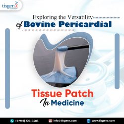 Exploring the Versatility of Bovine Pericardial Tissue Patch in Medicine