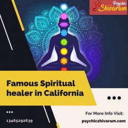 Famous Spiritual healer in California – Psychic Shivaram.