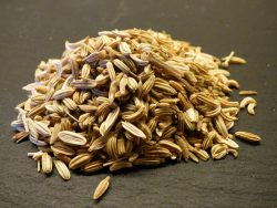 10 Fantastic Fennel Seeds Recipes in Australia
