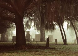 Enchanting Charleston: Old Walled City Ghost Tours in Charleston