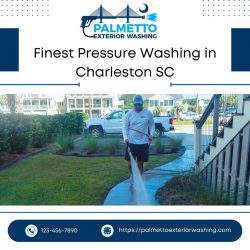 Revitalize Your Space: The Transformative Power of Palmetto Pressure Washing
