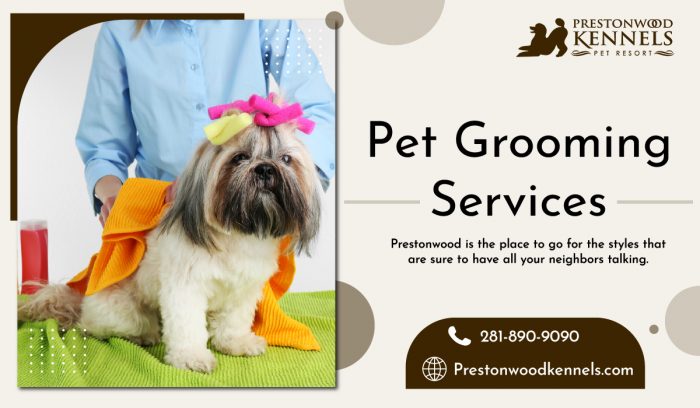 Furry Friends Grooming Service