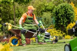 Expert Garden Maintenance Services in Manchester, UK