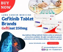 Wholesale Pricing and Bulk Quantities for Gefitinib 250mg Brands