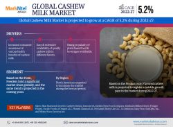 Global Cashew Milk Market Research Report: Forecast (2022-27)