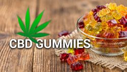 BioBlend CBD Gummies-Don’t Buy Until You Read This!