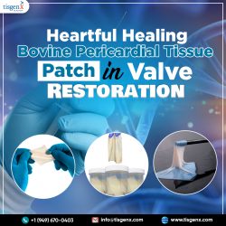 Heartful Healing Bovine Pericardial Tissue Patch in Valve Restoration