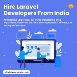 Hire Dedicated Laravel Developer at Whitelotus Corporation