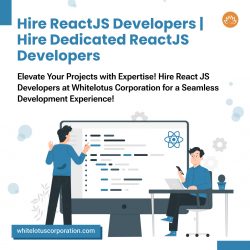 Hire React JS Developers | Hire Dedicated React Js Developer