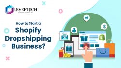 How To Start A Shopify Dropshipping Business?