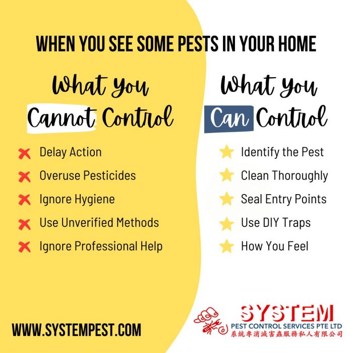 Pest-Free Living: 10 Essential Dos and Don’ts for Effective Home Pest Control