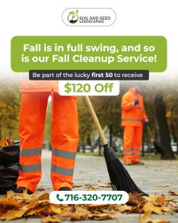 Fall Cleanup Special: $120 Off for First 50 Customers – Soil and Seed Landscaping