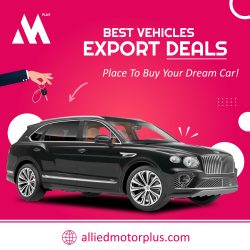Export Brand New Cars for Best Deals