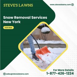 Snow Removal in New York City