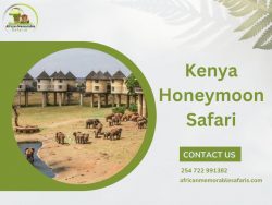 Safari Serenity: Unforgettable Kenya Honeymoon Experiences