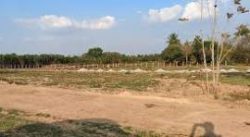 Lakeview Farms: Your Destination for Agriculture Land for Sale in Thally.