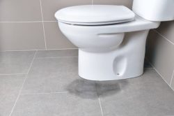 Leaky Toilet Woes? Acosta’s Got You Covered!