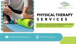 Licensed Physical Therapists