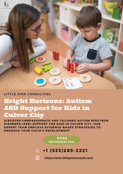 Bright Horizons: Autism ASD Support for Kids in Culver City