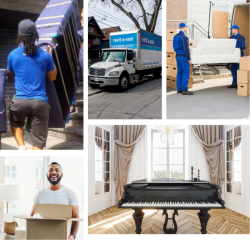 Effortless Moves Begin with Our Expert Local Movers!
