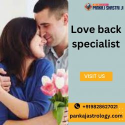 Discover the Love back specialist – Astroger Pankaj Shastri Ji’