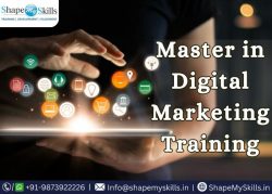 Master Digital Marketing Training in Noida at ShapeMySkills