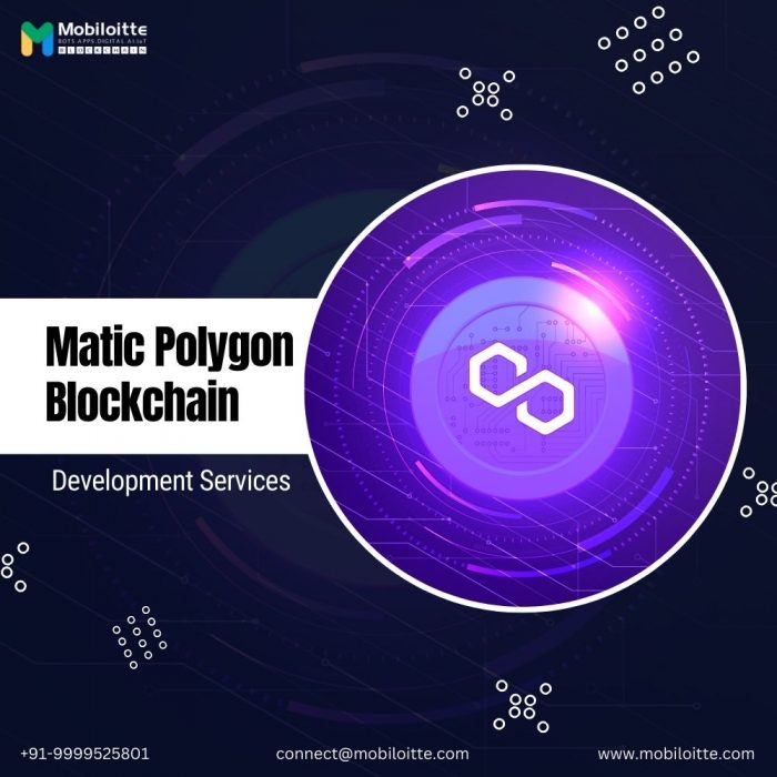 Matic Polygon blockchain development services