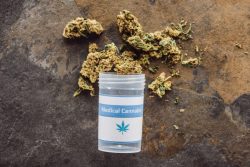 How to Choose the Right Medical Marijuana Strains for You?