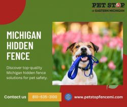 Discover the Amazing Michigan Hidden Fence Solutions for Pet Safety