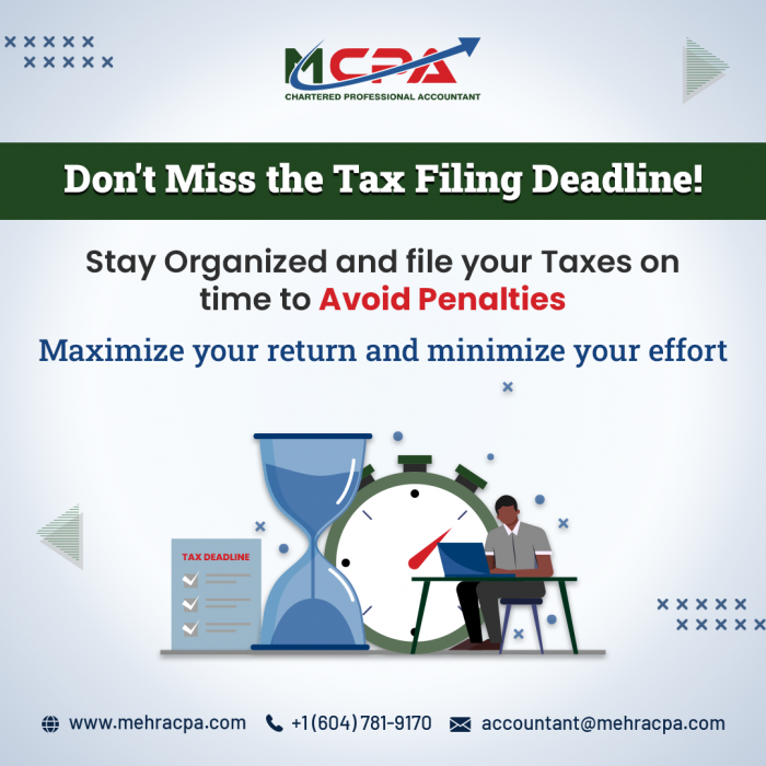 Tax Filing issues? Get the Best Tax Filing and Return Services in Vancouver