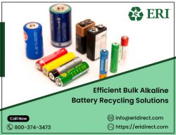 Efficient Bulk Alkaline Battery Recycling Solutions
