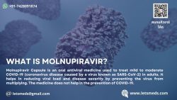 Molnupiravir 200mg Capsules Price Online Movfor Wholesale Singapore