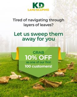 10% Off Fall Cleanup: First 100 Customers! KD Landscaping Albany NY
