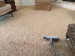 Get Professional Carpet Cleaning Singapore