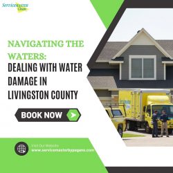Navigating the Waters: Dealing with Water Damage in Livingston County