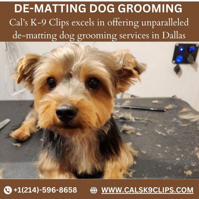 De-Matting Dog Grooming