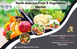 North America Fruits & Vegetables Market Share 2023, Industry Trends, Growth Strategy, Chall ...
