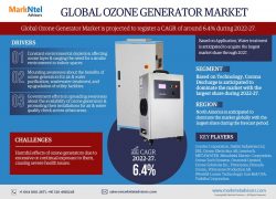 Global Ozone Generator Market Research Report: Forecast (2022-2027)
