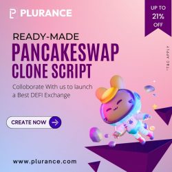 Plurance – Pancakeswap clone script