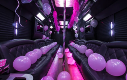 Birthday On the Move: Unleash the Fun with a Party Bus Celebration!