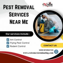 The Best Pest Removal Services Near Me
