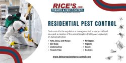 Trusted Partners in Residential Pest Control Services