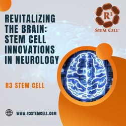Revitalizing the Brain: Stem Cell Innovations in Neurology | R3 Stem Cell