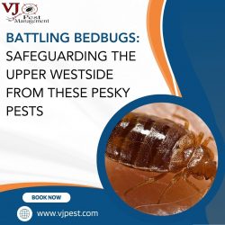 Battling Bedbugs: Safeguarding the Upper Westside from these Pesky Pests