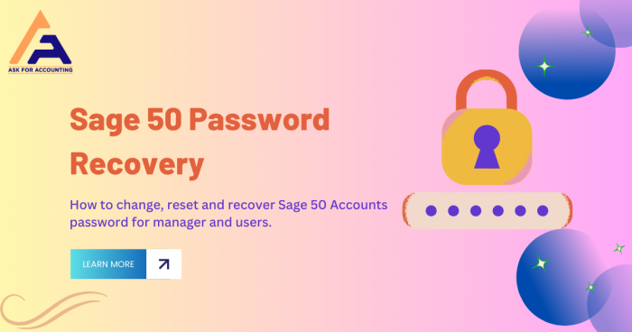 Sage 50 Password Recovery