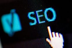 Searching for Organic SEO Services?