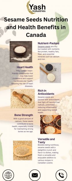 Sesame Seeds Nutrition and Health Benefits in Canada