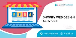 Shopify Website Designing Company