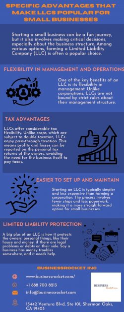 Specific Advantages that Make LLCs Popular for Small Businesses