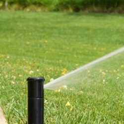 Underground Sprinklers Services – Tedot’s Finest